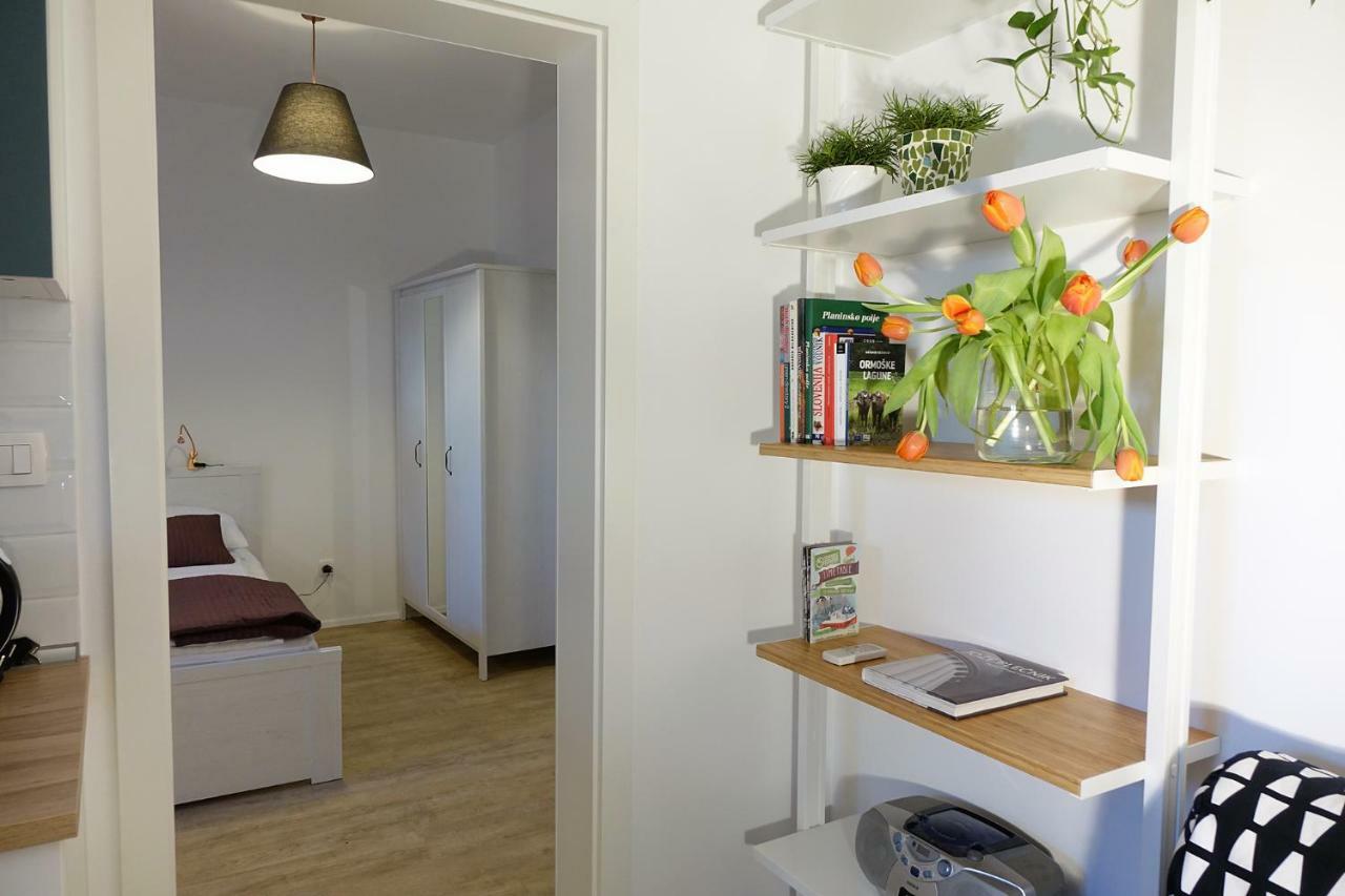 Central Apartments With Parking Ljubljana Ngoại thất bức ảnh
