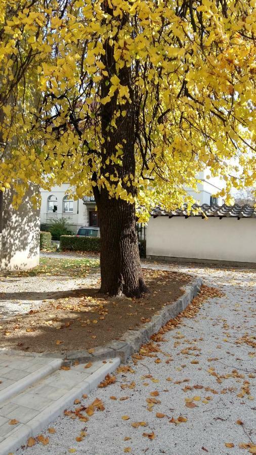 Central Apartments With Parking Ljubljana Ngoại thất bức ảnh
